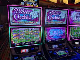 abc bet 234